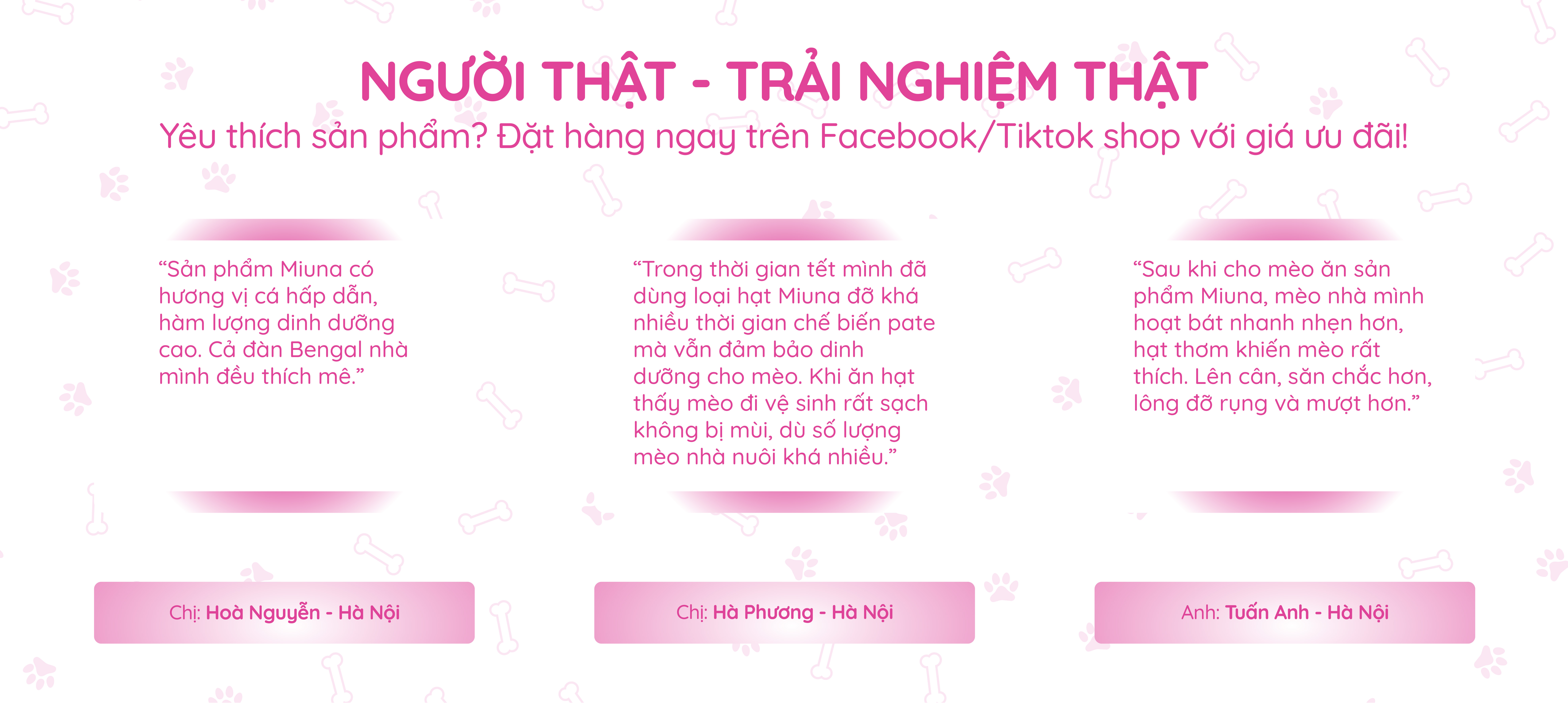 Hình ảnh 2