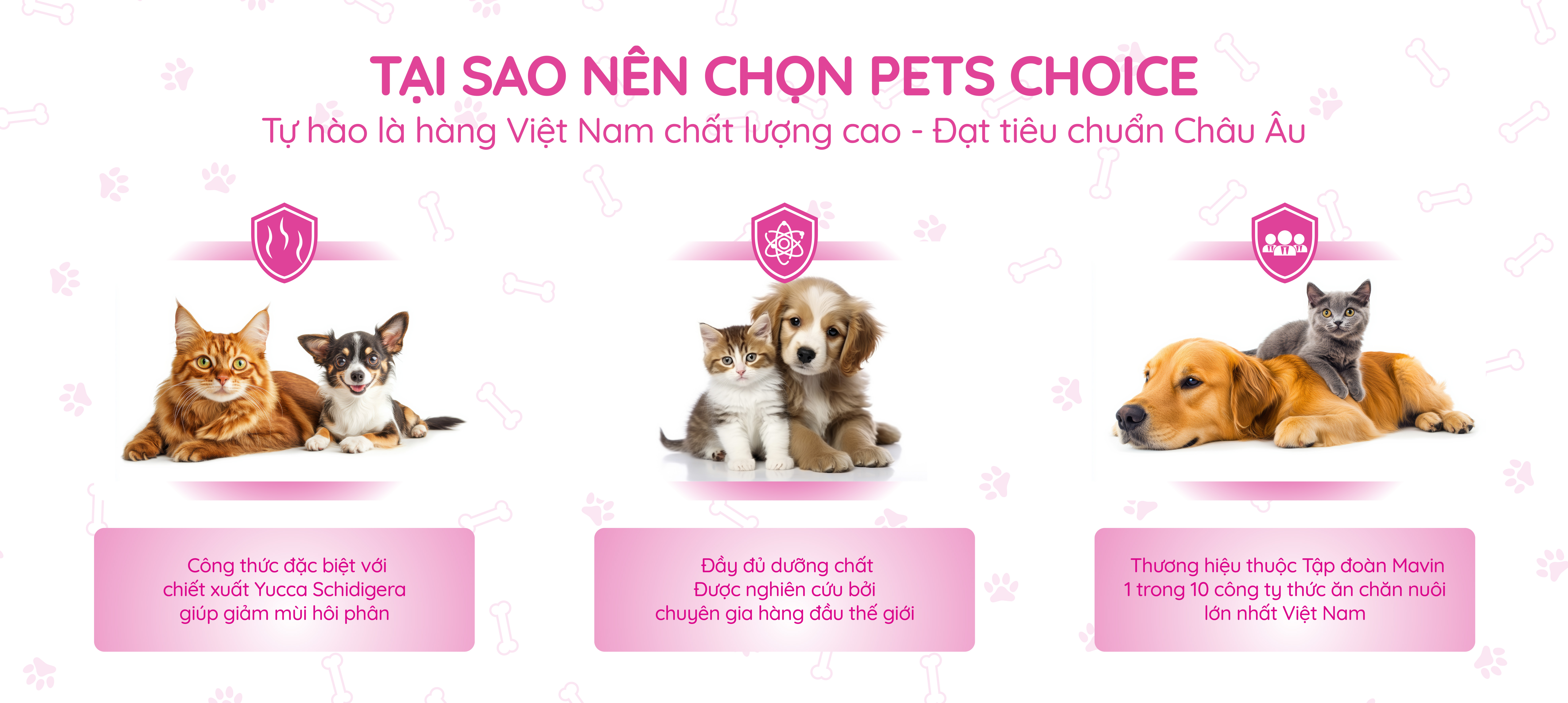 Hình ảnh 1