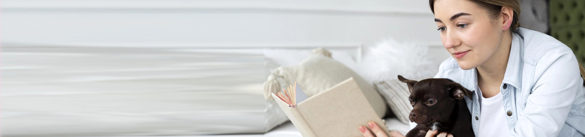 DINH DƯỠNG CHÓ MÈO NGÀY TẾT