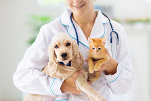 Khám sức khỏe định kỳ để bảo vệ sưc skhoer lâu dài